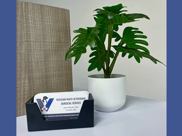 Business cards on desk.