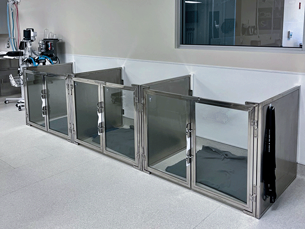 Small Glass Kennel