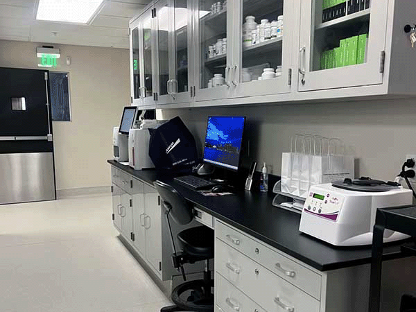 Pharmacy and lab.