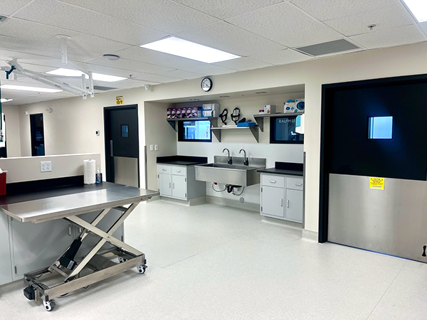 Scrub Room